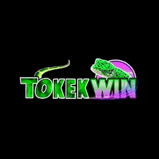tokekwin APK Resmi — ikon aplikasi